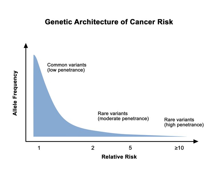 Graph shows relative risk on the x-axis and allele frequency on the y-axis. A line depicts the general finding of a low relative risk associated with common, low-penetrance genetic variants and a higher relative risk associated with rare, high-penetrance genetic variants. Graph shows relative risk on the x-axis and allele frequency on the y-axis. A line depicts the general finding of a low relative risk associated with common, low-penetrance genetic variants and a higher relative risk associated with rare, high-penetrance genetic variants.